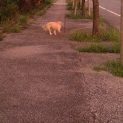 01262aa67c78e20dd6a50d45680ccd7c8475f90bd6