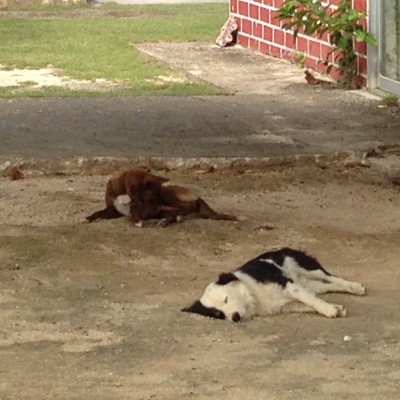 012f4064c3c18308a935894d39e533437b6b422b5a