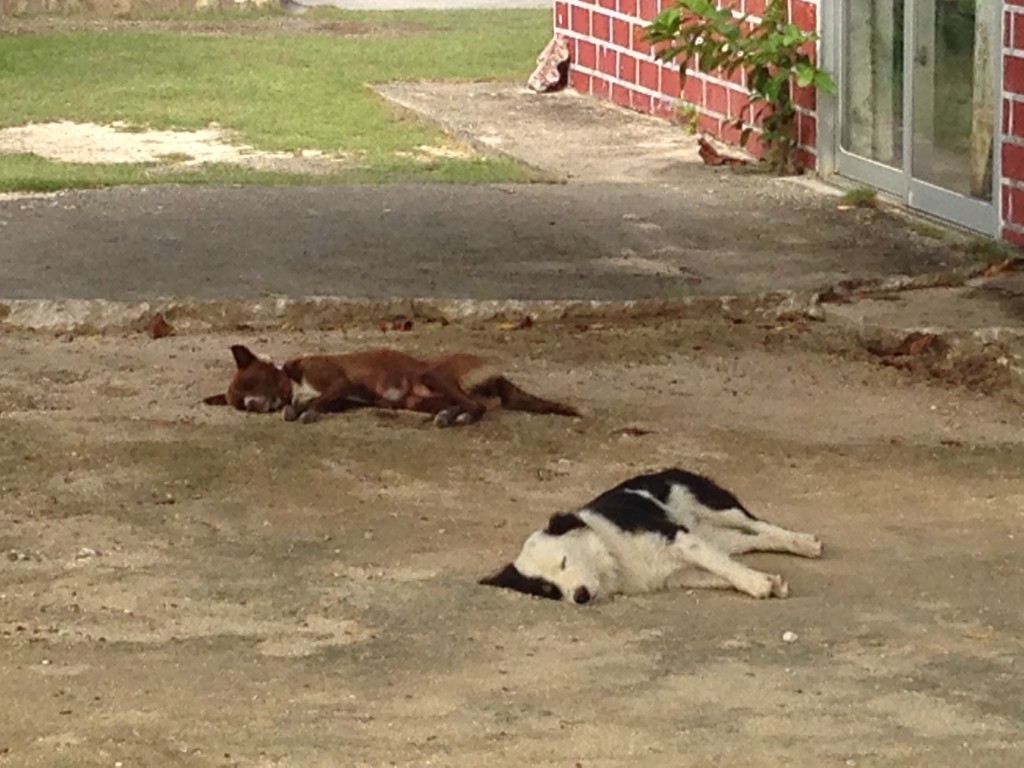 0155a5c864015d76f7e23e15829f7709f8d8779c6a