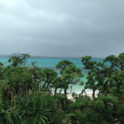 016a1f0cb1573920b91629f1b2f9d37e76e13c6c1c