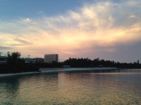 01c4197018f8b22b58275d1edd2fde0949e16febc5