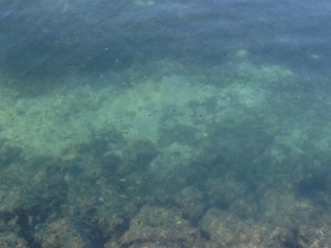 01c7cf524aebbeb2e341b4426a7b25d28d0e9e2ae4