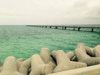 01ccb682af1c67d54b830abcfb2d32a3e0b1032a22