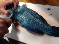 01d1e73a238e2cfa6979d43158643e1bd6d16b6d26