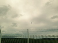 01da900d89a004305e338688bb5258b240e7d614f3