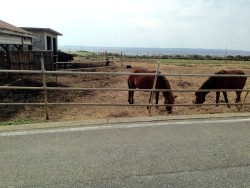 01e63876939e3acc0eb02f2dd27b659ebf1d406de9