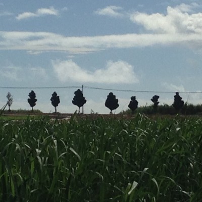 01c094165269c8a185e9f310516bd07e4cb1795060 - コピー - コピー - コピー