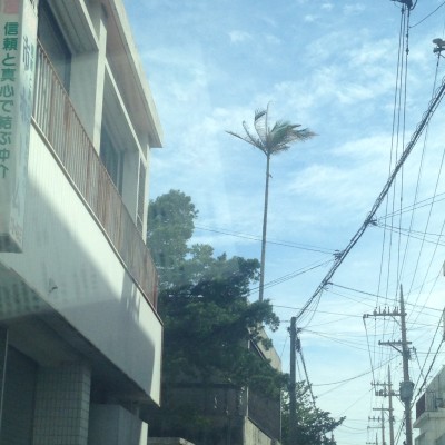 01b63b11cdf401816a2e9a216590366a6f2c404643 - コピー