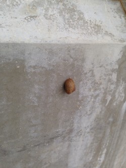 012e01e2936c27e52a95b040cedf6dcc44cbc80e34