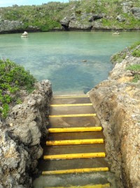 01469cb4b7ffd918e7b7879316eeb9f339315be962