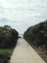 017e8ea34053f4c136685bf44100932fad0c049eea