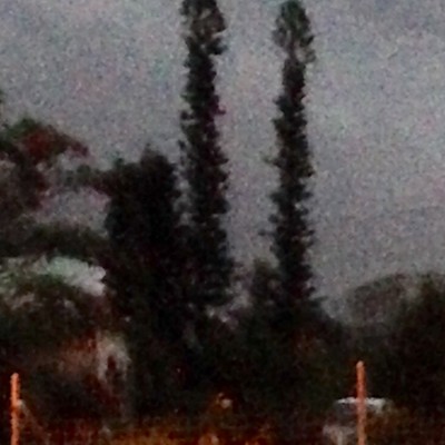 018f4fbe072cd97b4348ec90799c11d153eadafc95