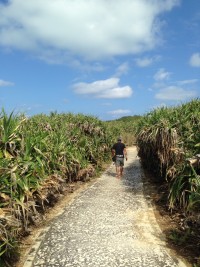 01958305f7c675015ebb1bff200260580ef6efbfb2