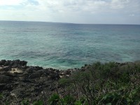 01b02f15bce49fceed90a63f256a30d8220afbb354