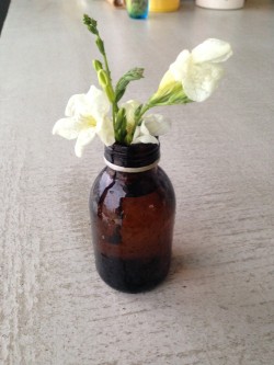 01d4996d01d8f909d3374257c54e221fa46b656163