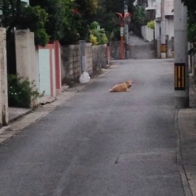 01e1c336fa36ed9710afdbd483e3078522dd4759ea