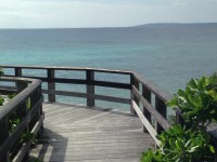 01fefe1732a7807568cee97f7dbe2d6e5b049b24ed