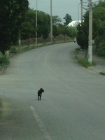 0129efe711032f935d1d405ab2d93087182f958d02