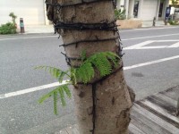 013a2d23636227879a9ed0b1c35323e0e1cf99e4cd