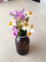 015df79d56652a08a9e4a4dd17a3f7bf3a4a7738ff