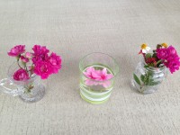 0167bfe7be84f4ca83a16701636f9f0ae27acbc73c_00001