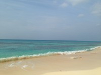 016b391eb256f913f1f2eba9c066d529ff0e91277b