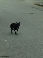 01727ffc2a5ddda073e14c1a7cb66d7dd17abed56f