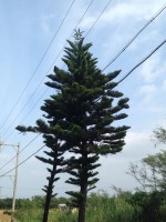 017bfe8e545932d03d768ac5094a43193752d8630a