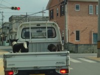 018a0e2cd759aa596839699099f1d82a2e72a58ffb