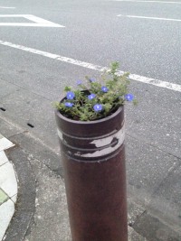 01a6141fd32dcd4f5301d6657416e828283dcd03ee