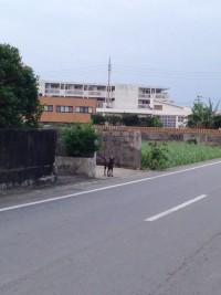 01ae1c89293280053352d96bb48faf2539882d780c