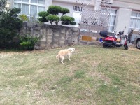 01e3c30a95fb394ce34ff779368d2bafc00f9c59b3