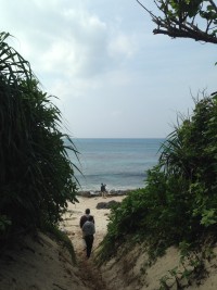 01ebafeb37810e0f518342f5324ceb52f8fe22fab8