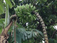 01021faf7682a8715a75ec3e8468dcbe81e700cb28