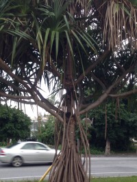 0102416abdcea2da651c79f2e676242211ae21366c