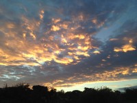 0105001ef9341ff636a12d4524c9336a22dcb4a624