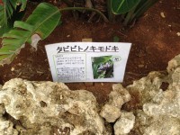 011a10a9b26c131206d472030fc6318f8bf45bb3e0