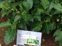 011b16fb4021fd67a34e2ae45851f951cf59abaf53