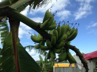 01280f360772ca2c494fa7e38eeb04d07ea77431ff