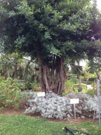 013ac00b7c94b7b52c100adaaa634d406ebbf8a054