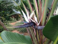 014744e2f5b65d346622ce68815decede9330c952d