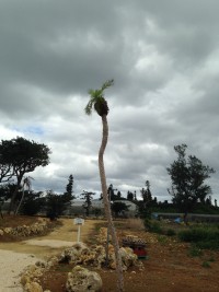 01503a3864e2e4898d56c148b40ce9bc3f60e95cb5