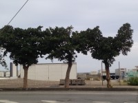 0155825c07dc7f7500f62219eda2f5a72d4f92a9d9