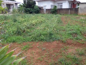 0156ab73dd7fad5bb143e2a1787abdb96765511c12