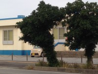 01663970cae24d3e73b2c47db23b1c5204f6a93354