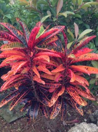 017f8deb53cdcd6c8830fca02b8f14042c103f043f