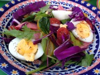 018600983102c5c814e8d50d4a7e0f5b4ae72c9f7b