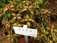 018cad6ed6dd14614294efa8e00e0c69459a1450c1