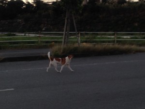 019173f2ce1f345cbe1eec80edd747eb8f06eae217