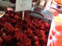 01b68c3d9f44e0fa072b5b3d61b88d0ff5bfe7dba7